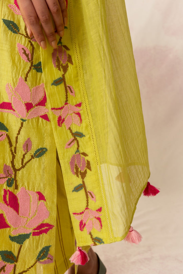 BAHAAR OLIVE EMBROIDERED BORDER DUPATTA